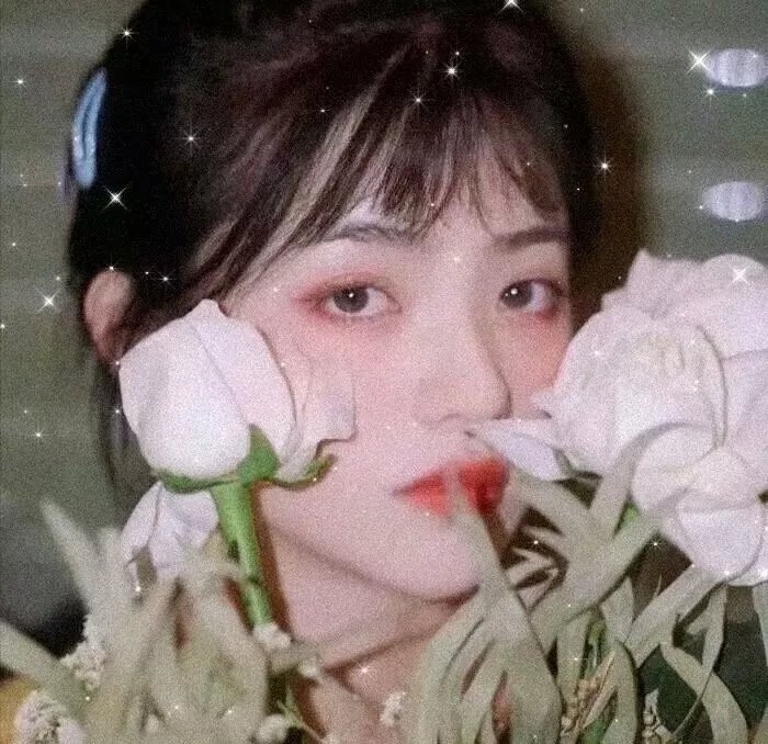 灰烬重生